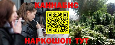индика Можайск