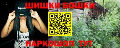 индика Можайск