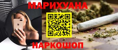 индика Можайск