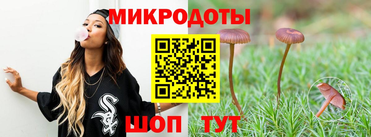 Унеча  Псилоцибиновые грибы мухоморы  Вход с VPN 